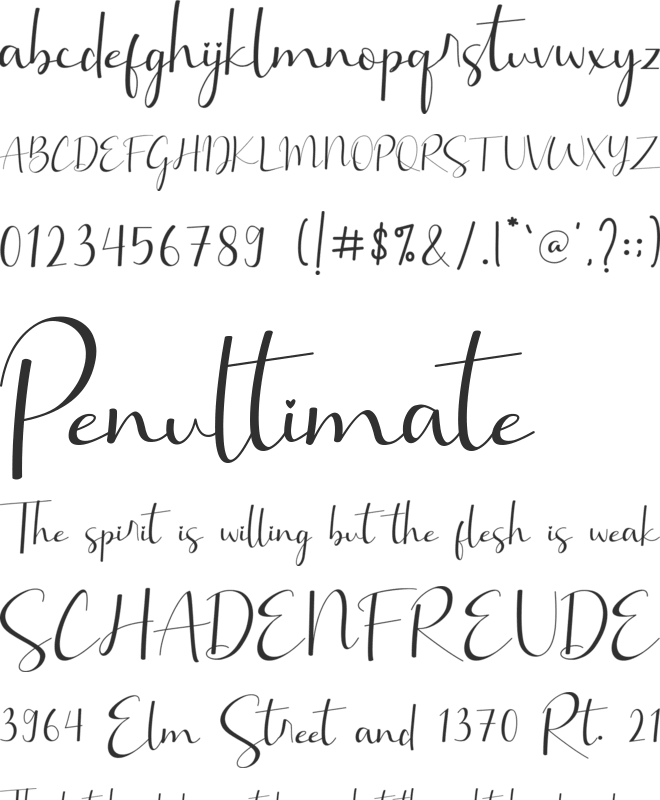 Brillia Calligraphy Font Download Free For Desktop Webfont