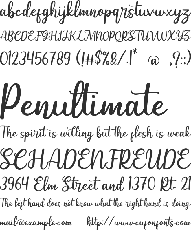 Selldon font preview