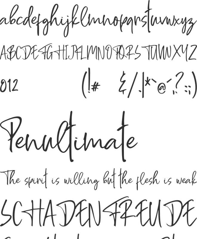 Ferments font preview