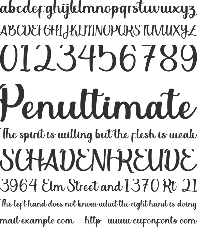 Bhellvast Font : Download Free for Desktop & Webfont