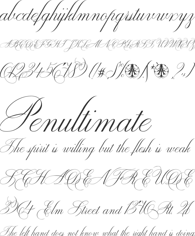 Enica Personal Use Only Font : Download Free for Desktop & Webfont