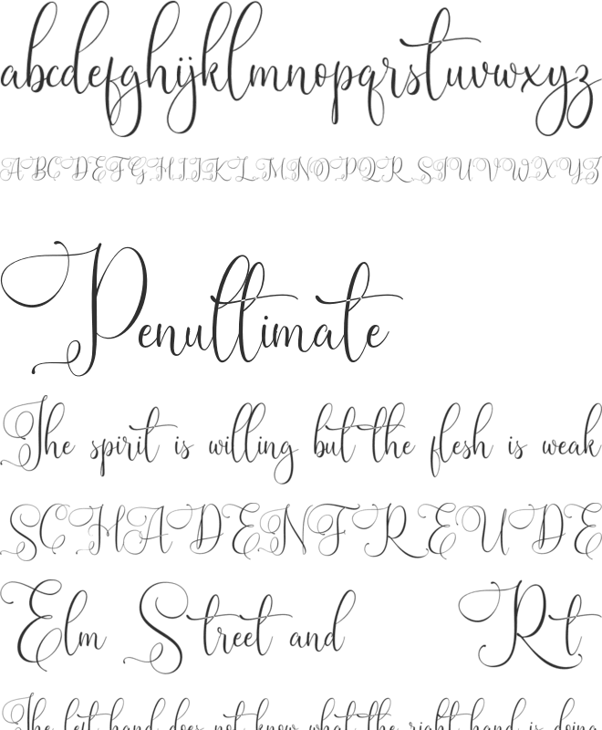 Rendezvows FREE font preview