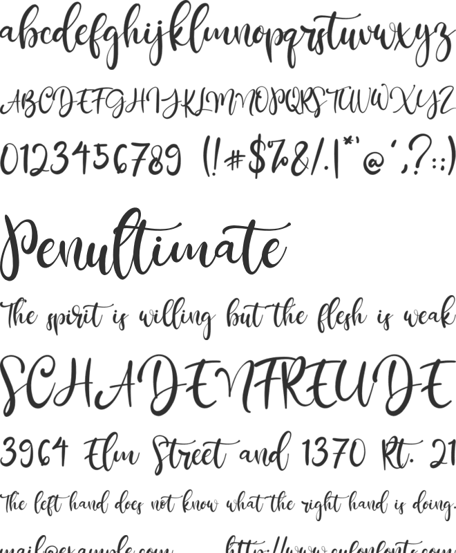 Rantliyer font preview