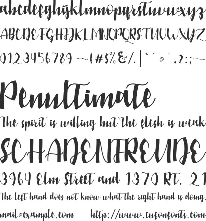 amstein font preview