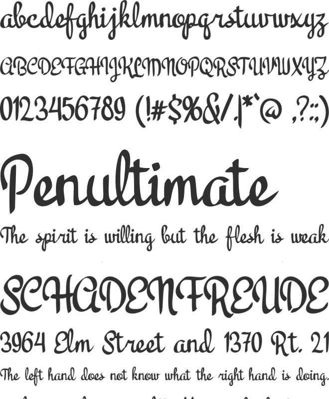 Koala Script font preview