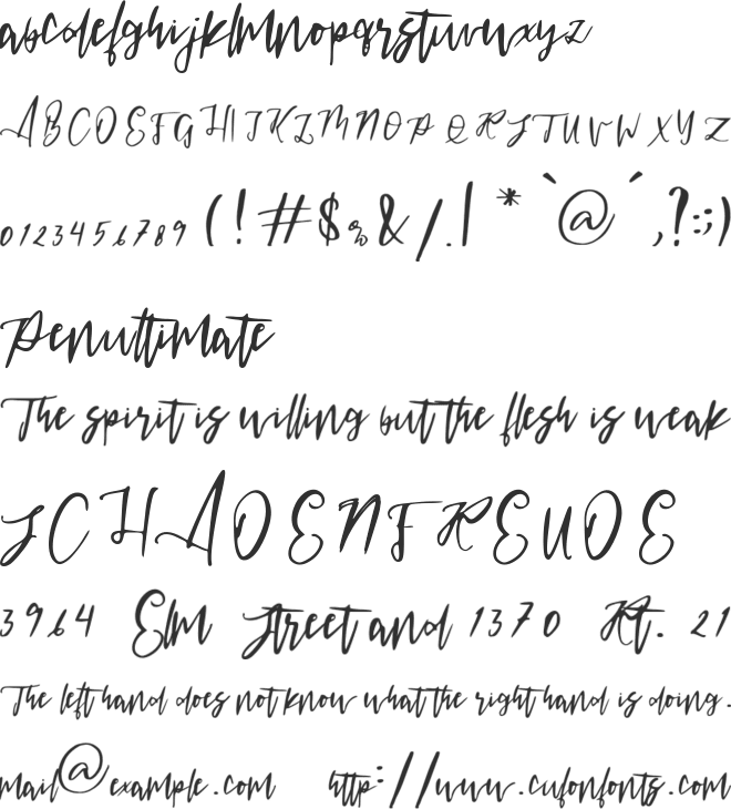 maroko font preview