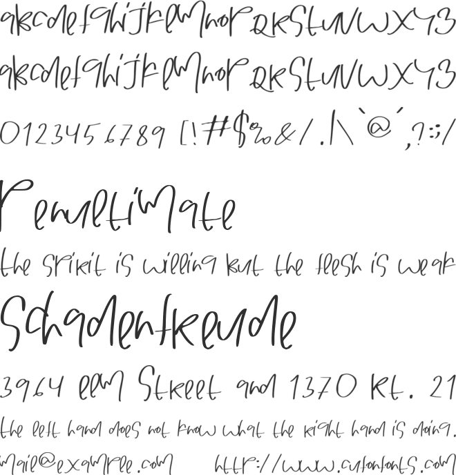 STUART COLLINS font preview