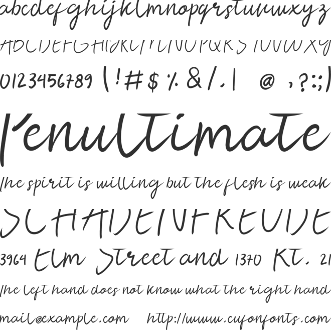 Amasya font preview