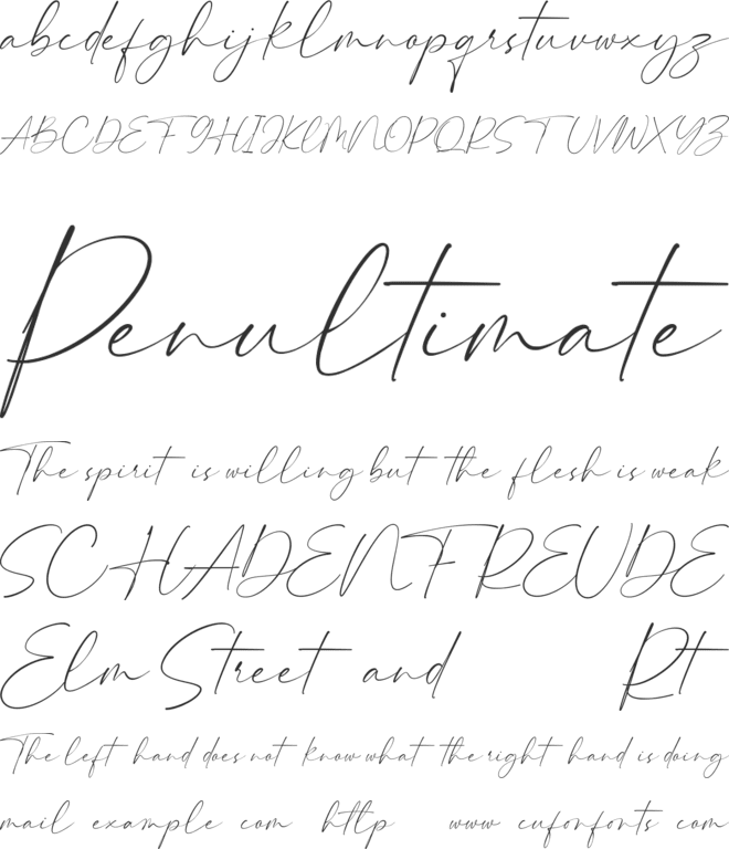 Hammington Free font preview