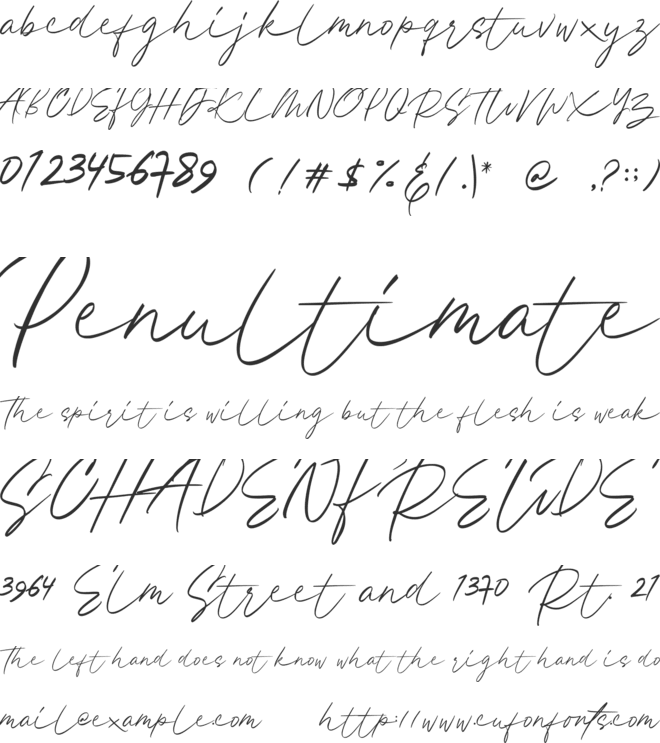 Hayasaka font preview