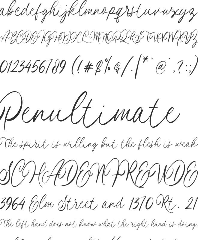 La Hileah font preview