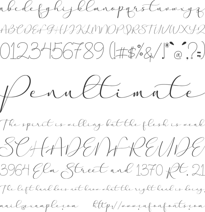 Aaqheella Font : Download Free for Desktop & Webfont