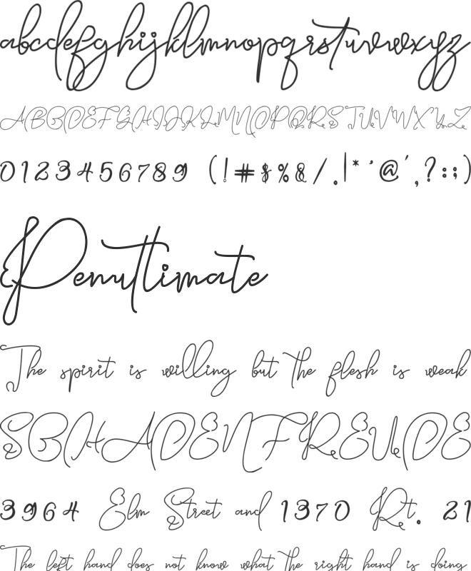 Queens Signature font preview