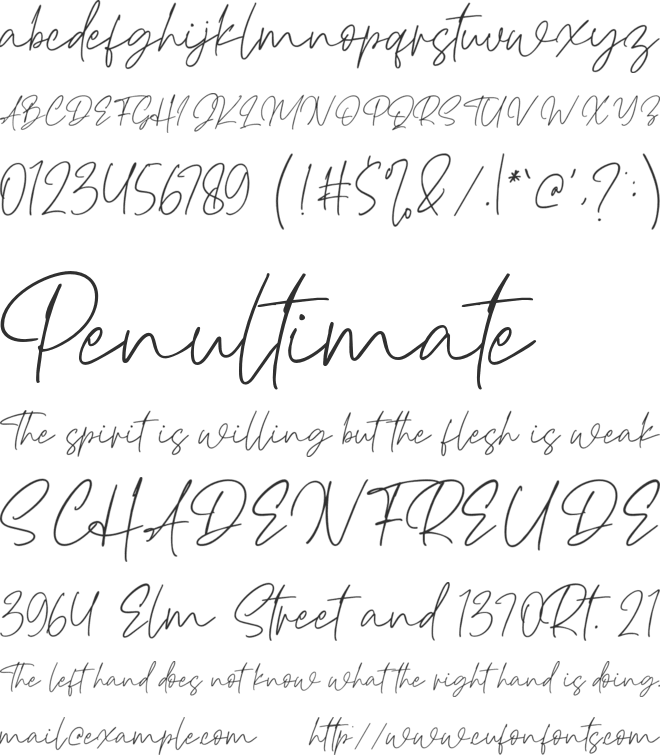 Haverink Script Font : Download Free for Desktop & Webfont