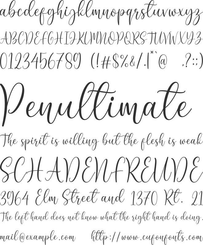 Rebeca font preview