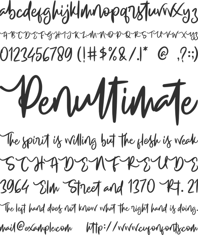 Creamy Buttermilk font preview