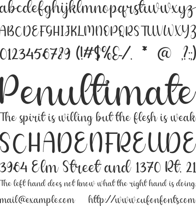 Belvyah font preview