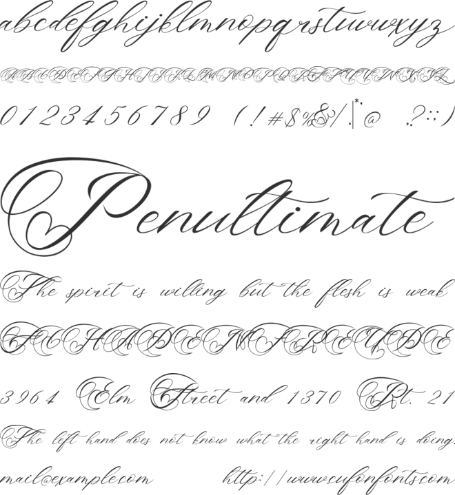 The Bellinda font preview