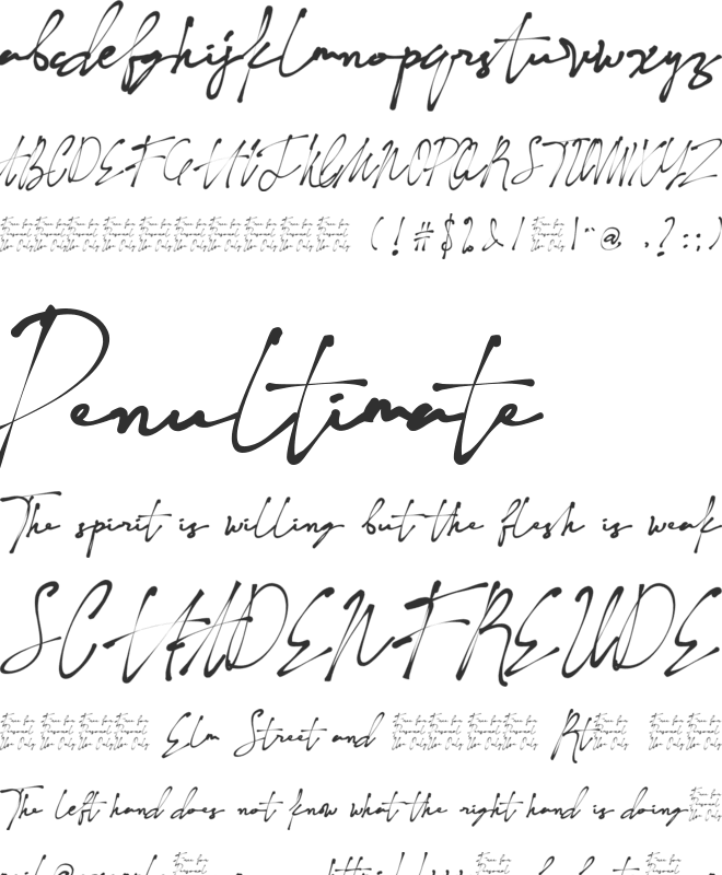 Naturaliste font preview