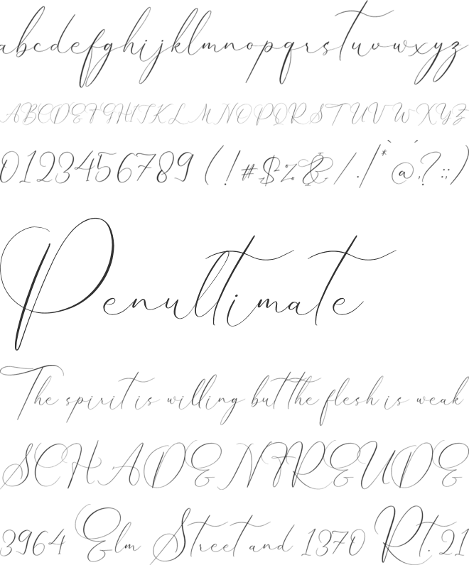 Pattricia Michella font preview