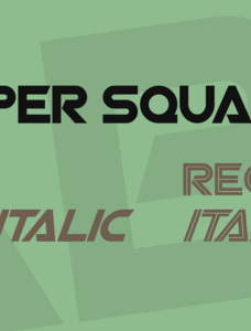download minecraft sp viper squad