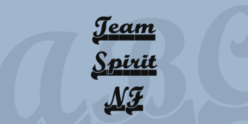 Team Spirit NF