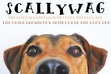 Scallywag