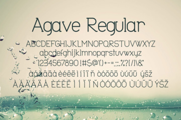 Agave-