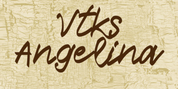 Vtks Angelina