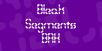 Bleak Segments (BRK)