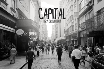 Capital Dry Brush