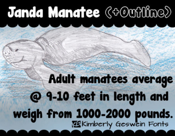 Janda Manatee Bubble