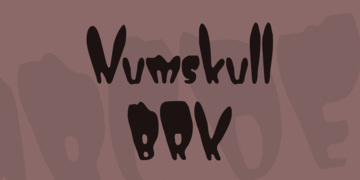 Numskull (BRK)