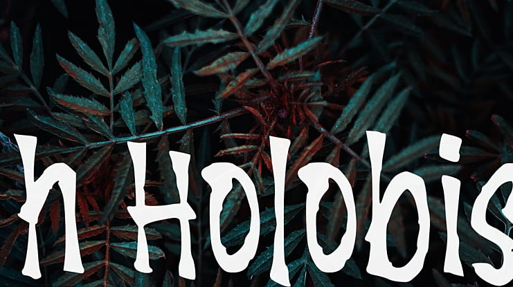 h Holobis Font