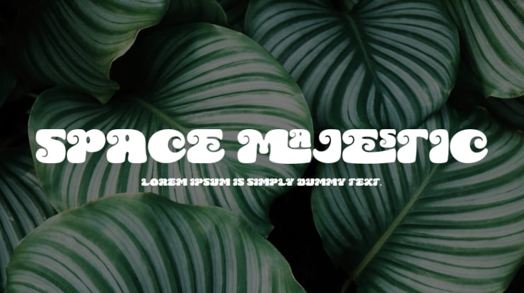 Space Majestic Font