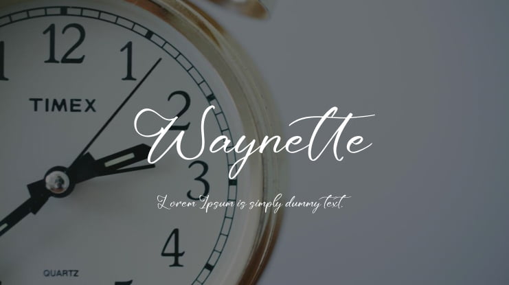 Waynette Font