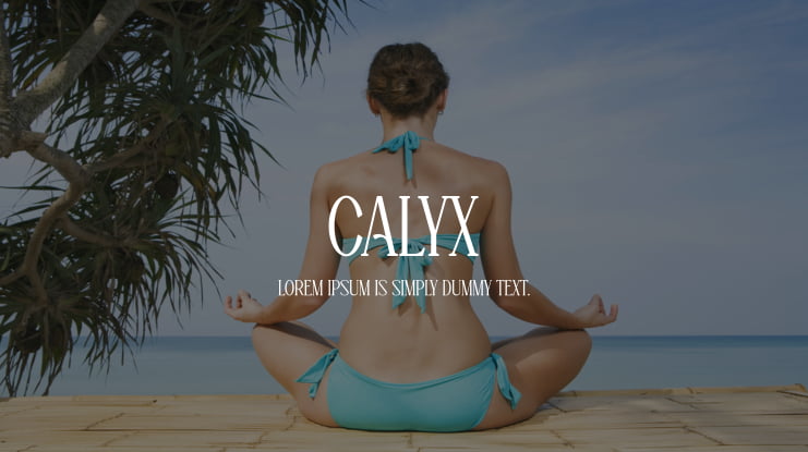 Calyx Font