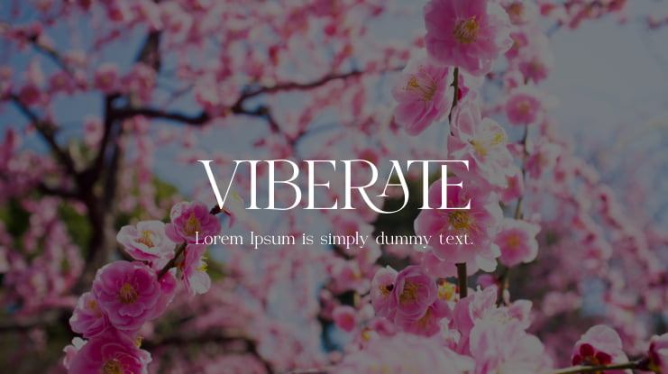 VIBERATE Font