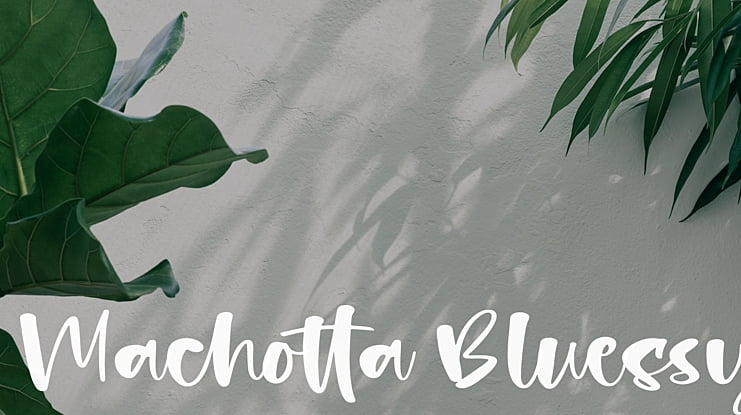 Machotta Bluessy Font