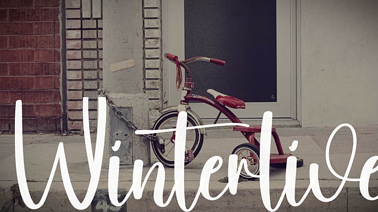 Winterlive Font