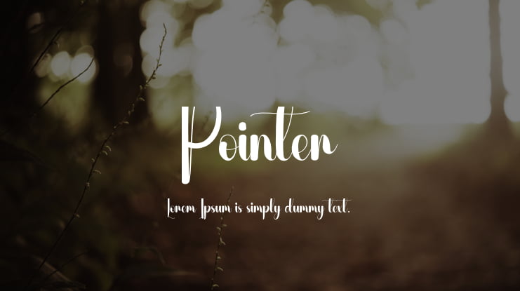 Pointer Font