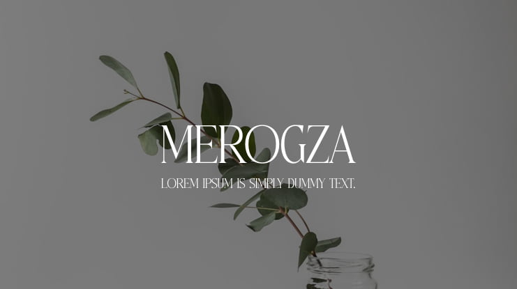 Merogza Font