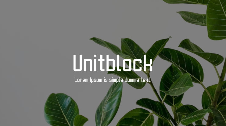 Unitblock Font