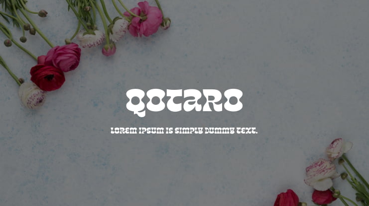 Qotaro Font Family