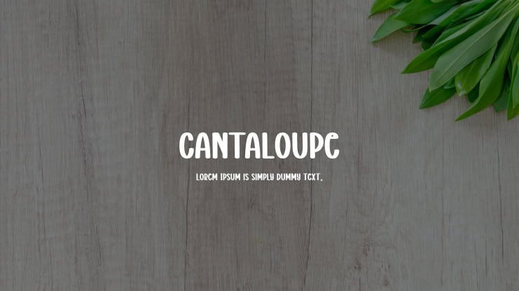 Cantaloupe Font