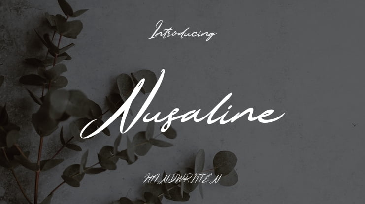 Nusaline Font