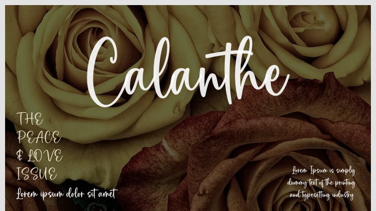 Calanthe Font