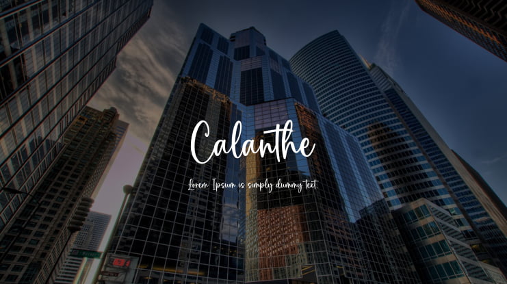 Calanthe Font