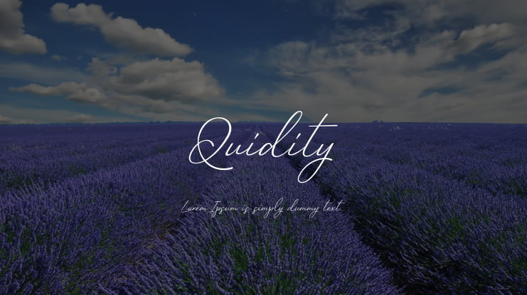 Quidity Font