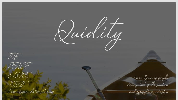 Quidity Font